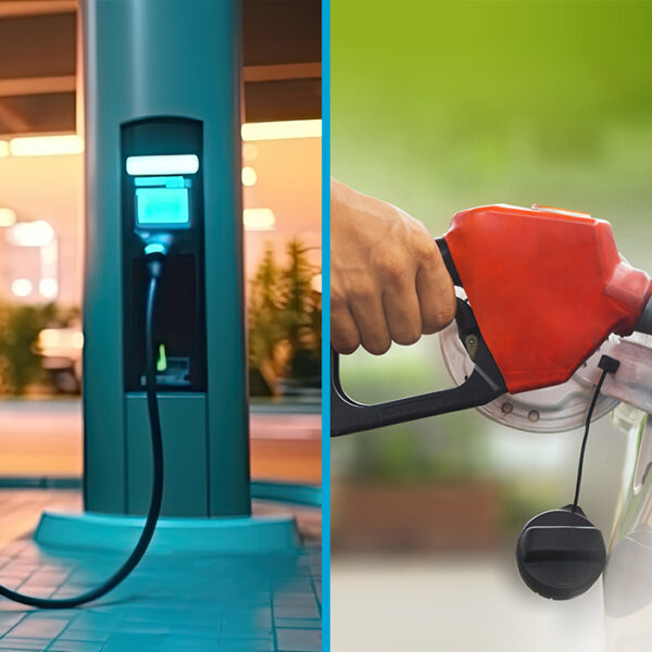 Gas station fuel prices and EV charging station locations are provided via api