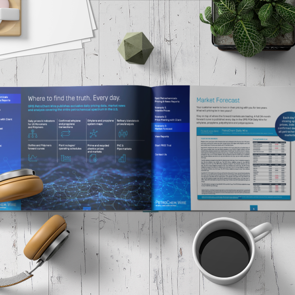 Petrochemcial industry overview ebook